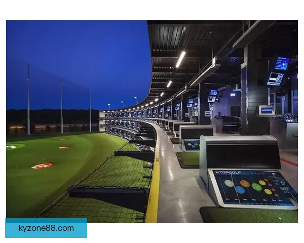 开云体育：探索未来体育科技与创新发展趋势的全新平台